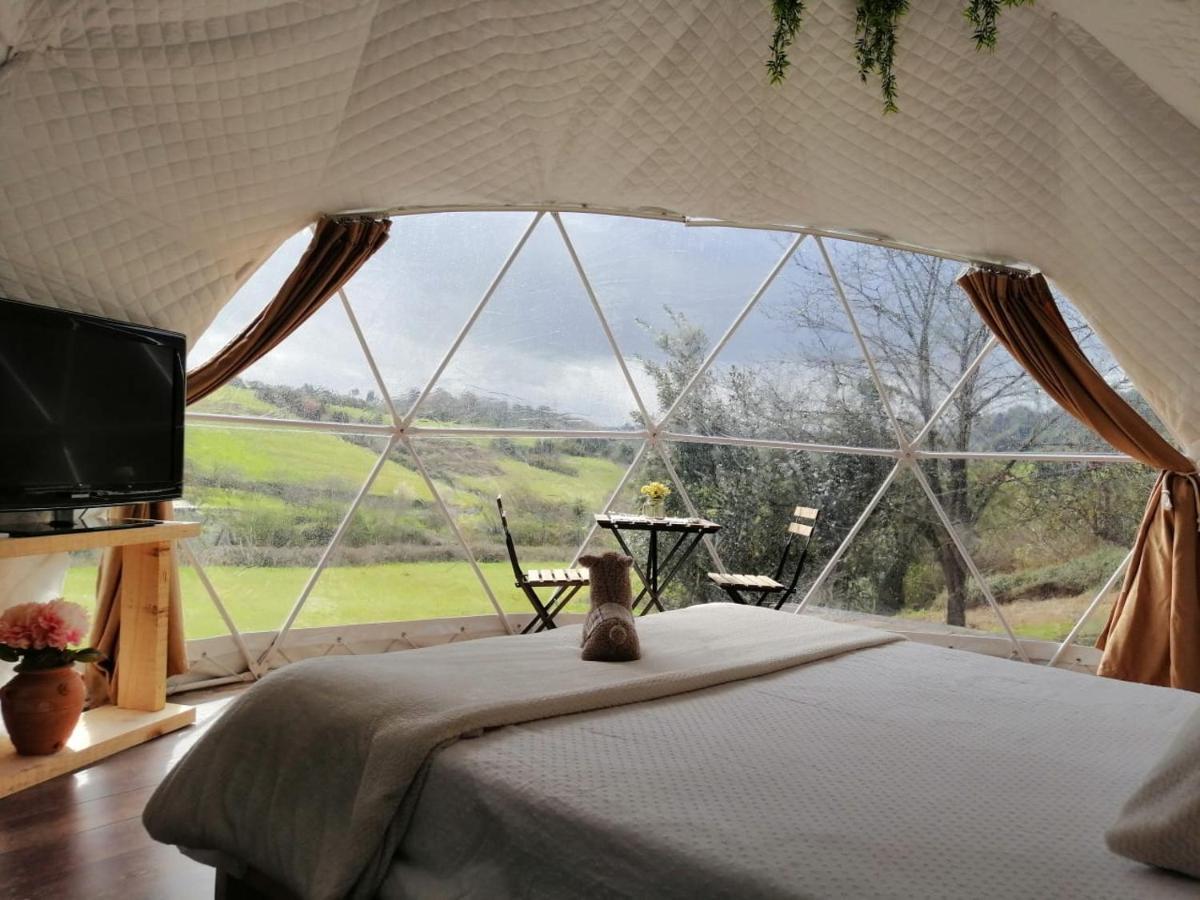 Hotel Glamping Quintana Gijón Zewnętrze zdjęcie